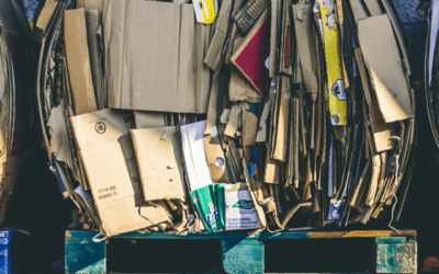 Main Reasons Environmental Permit Applications Get Delayed or Rejected (And How to Avoid Them)